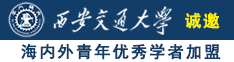 插逼黄片免费诚邀海内外青年优秀学者加盟西安交通大学