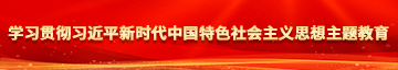 被大鸡吧插网站学习贯彻习近平新时代中国特色社会主义思想主题教育